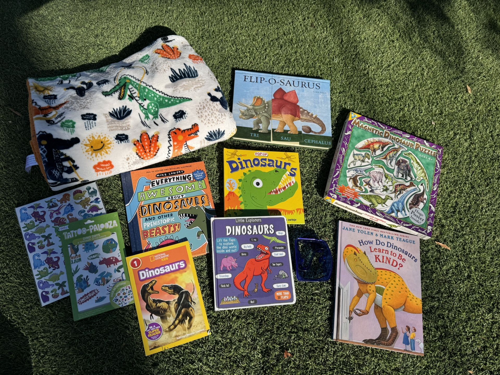 Lot of kids dinosaur items - books, new magnetic puzzle, blanket, stickers and temporary tattoos