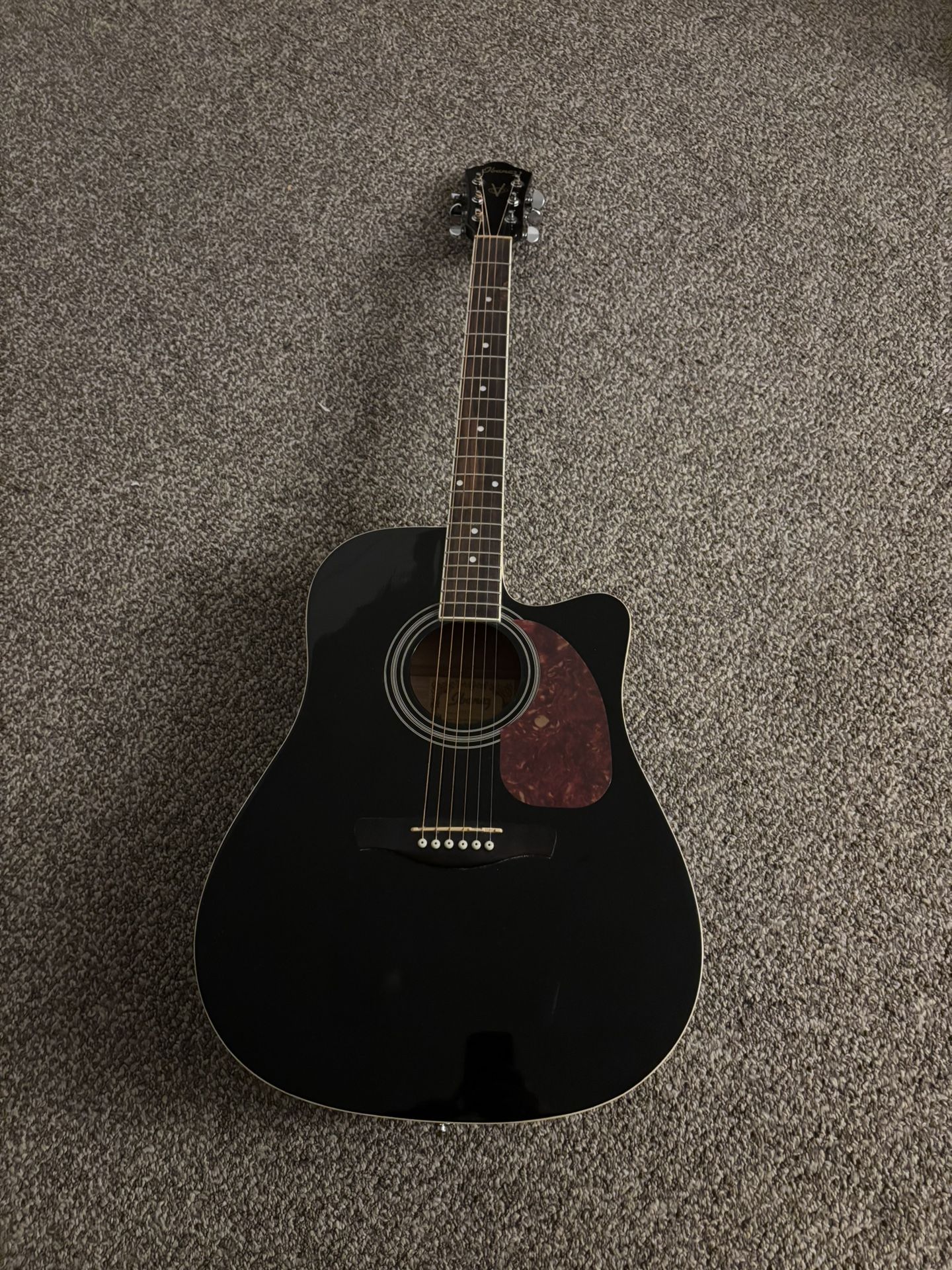 Ibanez Acoustic Electric Guitar