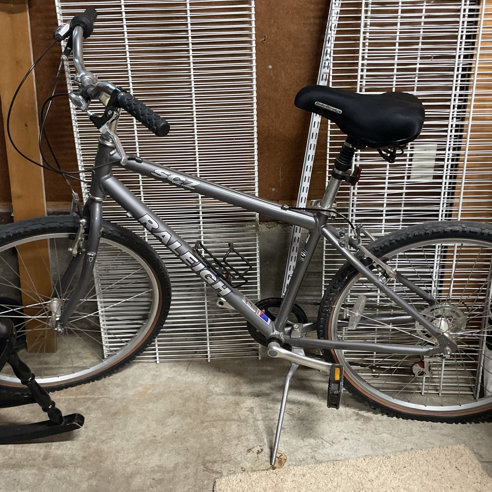 Raleigh Bike