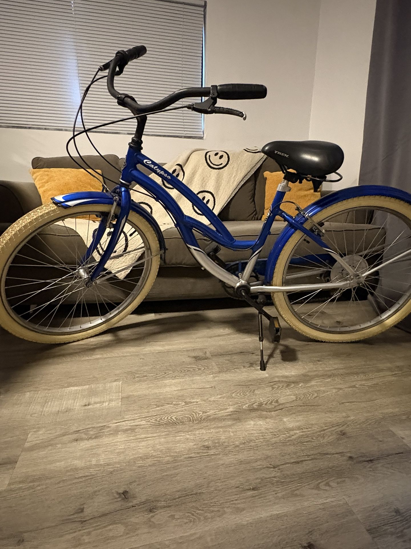 Calypso Cruiser Bike