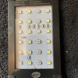 Small Led Reptile Lamp