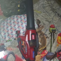 Toro Leaf Blower