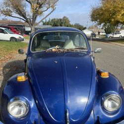 Volkswagen Bug