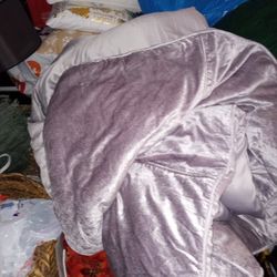 Tahiri Beautiful Queen Comforter And Shans