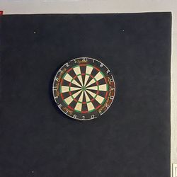 Darts Board 