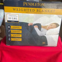 Blue 10-pounds Weight blanket $20