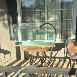 55 Gallon Fish Tank