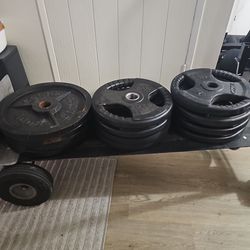 45lb weight plates