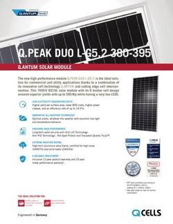 Qcell Solar panels Q.Peak Duo L-G5.2 385W