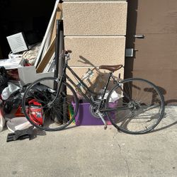 Nishiki Century Bike