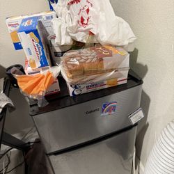 Mini Fridge 
