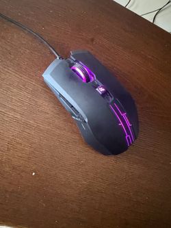 Maus