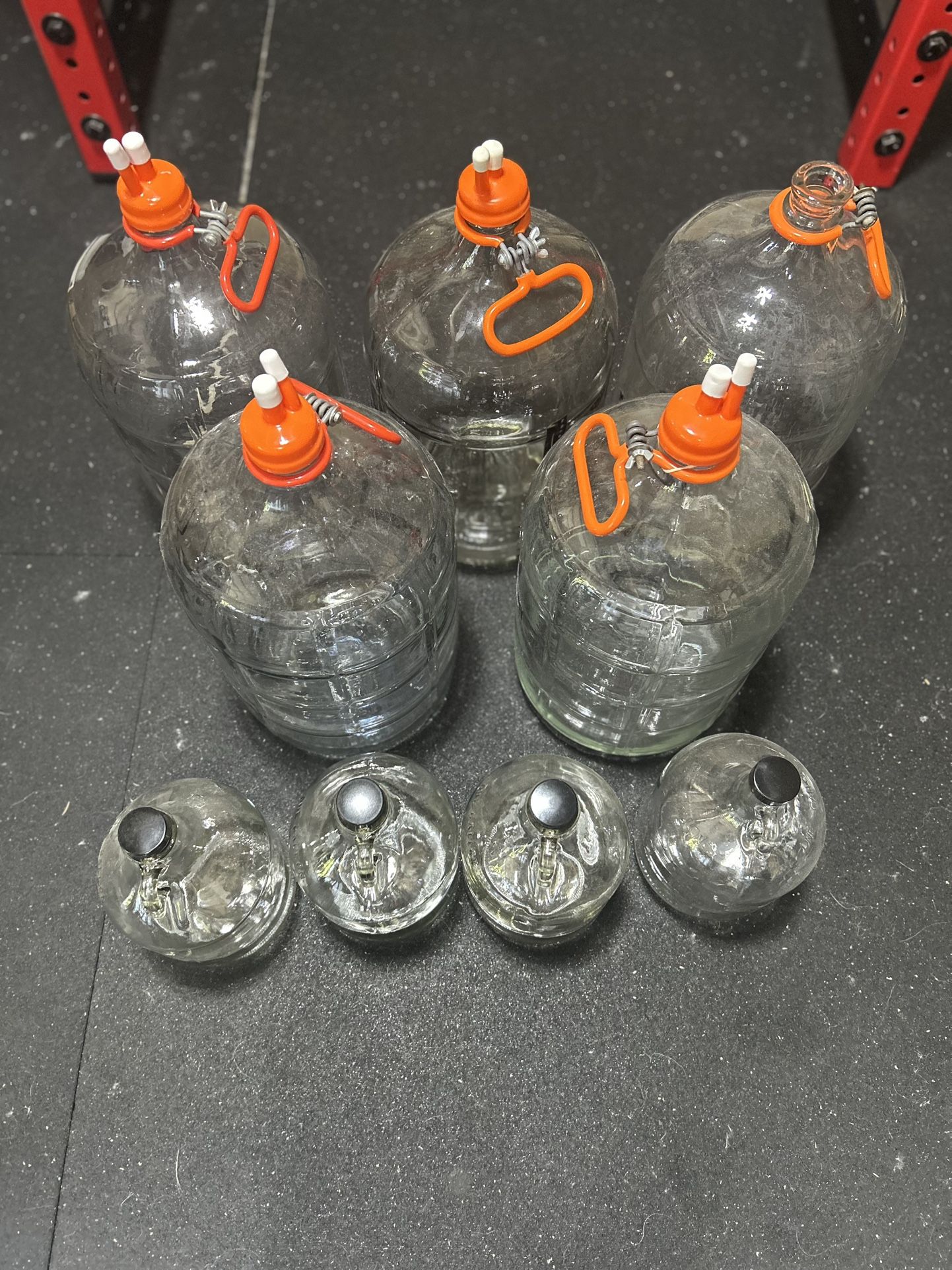 5gal Carboys