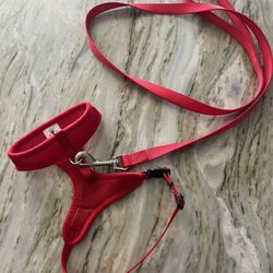 Red Adjustable Puppy Harness and Leash Set