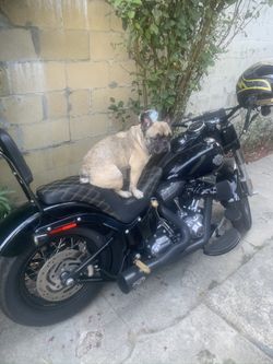 2015 Harley Davidson Softail Slim