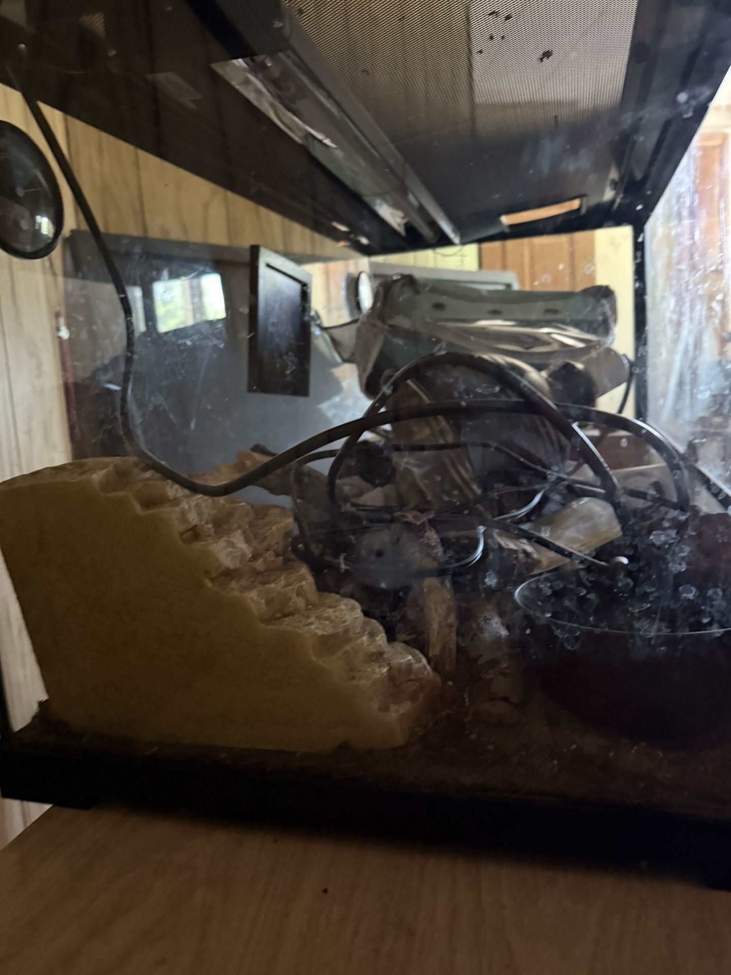 Reptile Tank