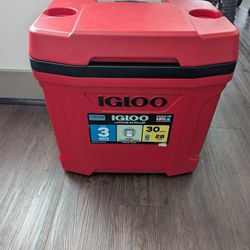 Igloo Cooler 