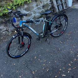 Electric Bike