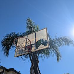 Free Basketball Hoop.  Broken Backboard