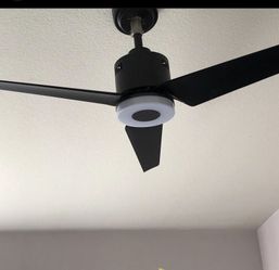Ceiling Fans