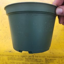 6 Inch Azalea Nursery Pots