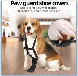 standing support for dog