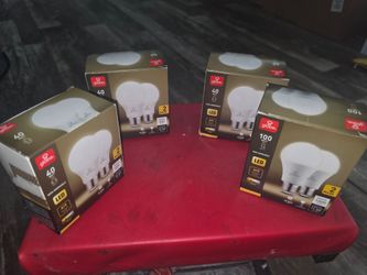 Globe A19 LED Light Bulbs – 4 Boxes