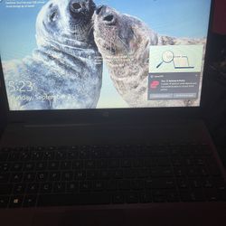 Gray HP 255 G8 Notebook PC