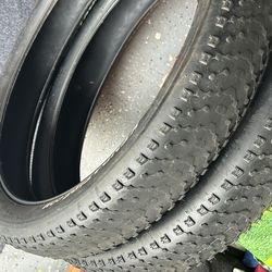 Fat Bike Tires