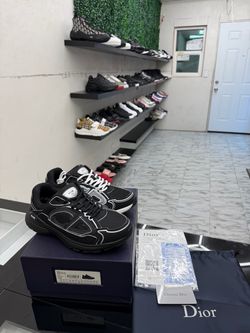 B30 dior shoes
