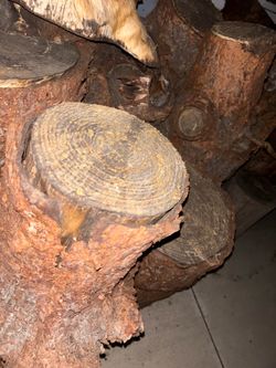 Firewood 20$