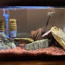 Fish Tank 