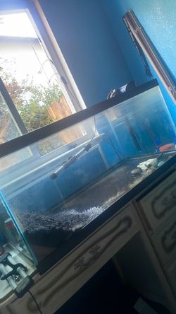40 Gallon Top Fin aquarium