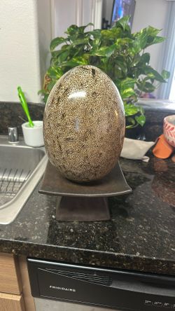 Dino Egg  