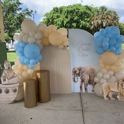Party Decorations Birthday Babyshower Gender Reveal Anniversary 