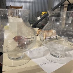 Glass Vases