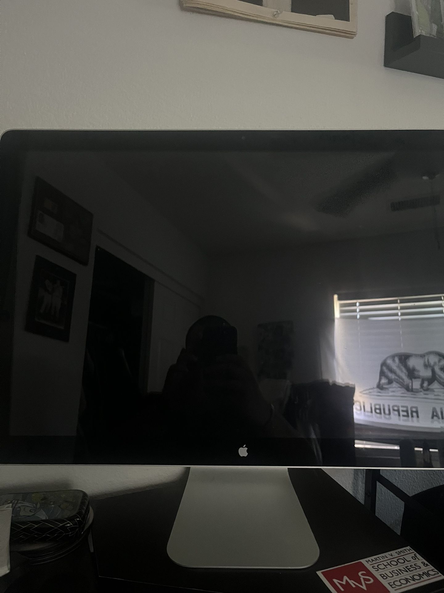 Apple Thunderbolt Monitor