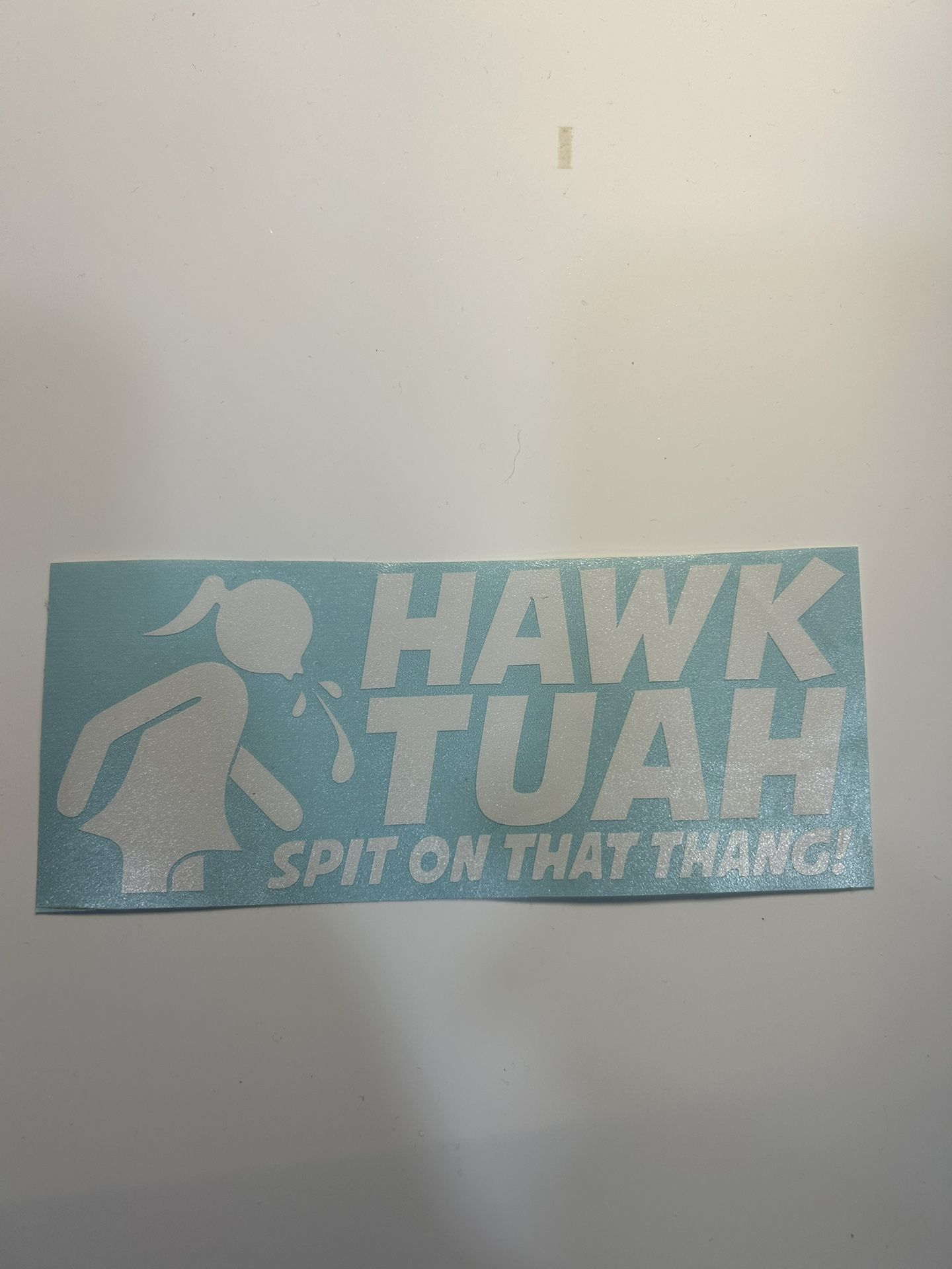 Hawk Tuah Decal