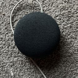 Google Home Mini