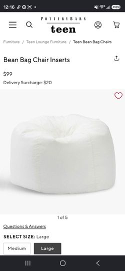 Pottery Barn Teen  bean bag chair insert