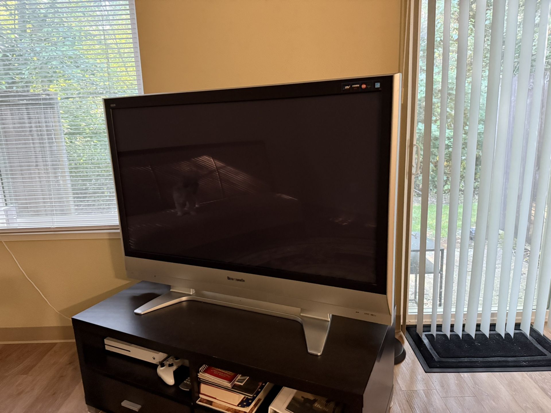 Tv- 50 Inch Panasonic