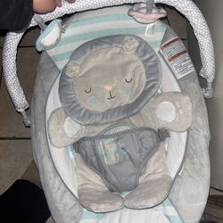 Inequity Baby Bouncer