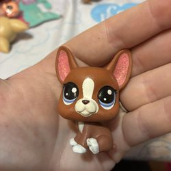 LPS Boston terrier, Roxy, glittery