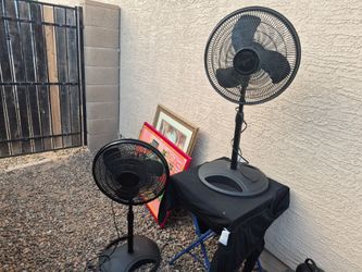 Fans