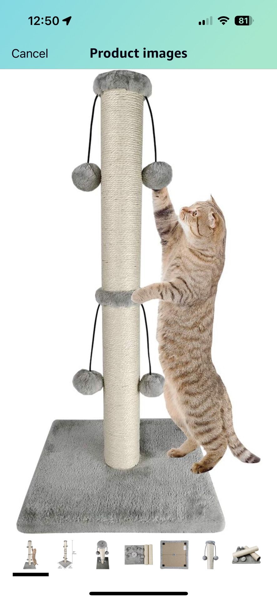 Cat Scratching Post 