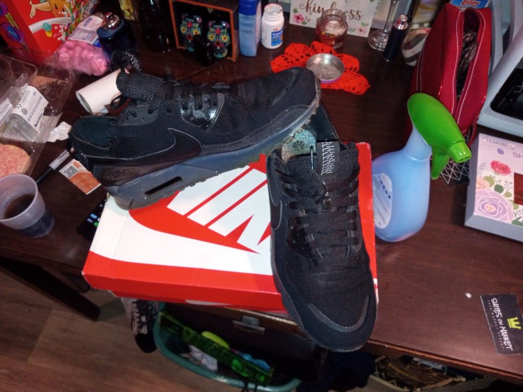 Air Max Terrascape 11