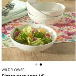 Princess House PLATOS WILDFLOWER (4) $54.00