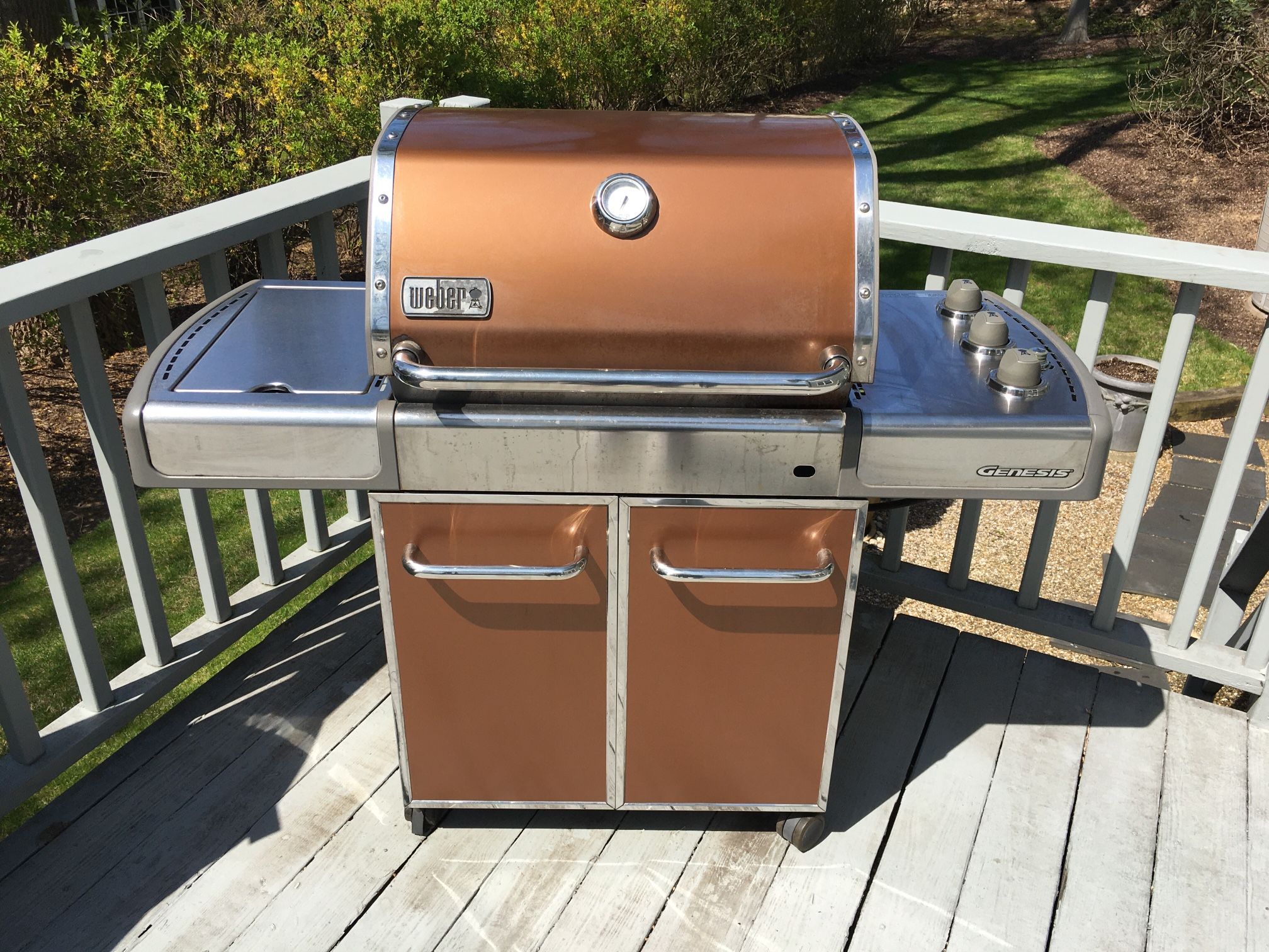 Weber Genesis 89555 Propane Grill W/ Side Burner And Cover