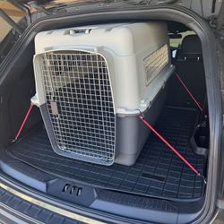 Dog Crate