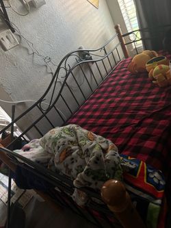 Bed